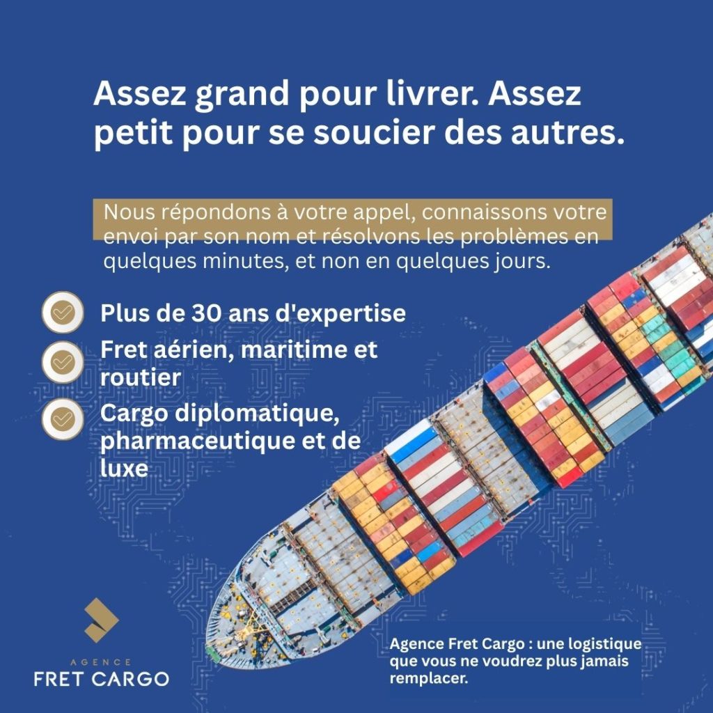 Agence Fret Cargo : une logistique que vous ne voudrez plus jamais remplacer.