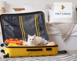 Transport international d'animaux depuis la Suisse